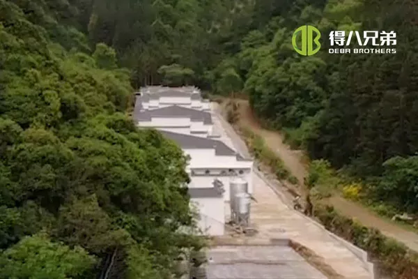 ãतरल खुवाउने प्रणालीãAnhui Huangshan 400 Sows Farm