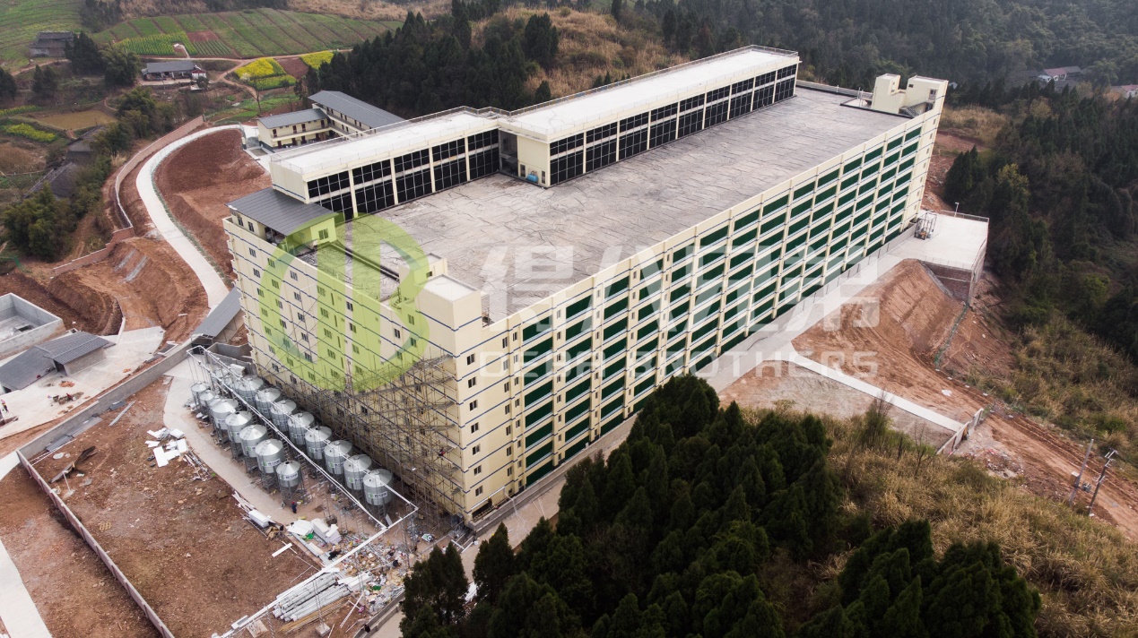 आधुनिक सुँगुर फार्म डिजाइनमा वातावरणीय गुणस्तर कसरी सुधार गर्ने