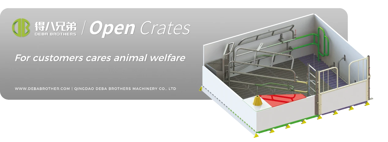 DEBA ब्रदर्स ओपन सो बेड यसको प्रयोगकर्ता-अनुकूल डिजाइनको लागि विश्वव्यापी रूपमा मान्यता प्राप्त छ