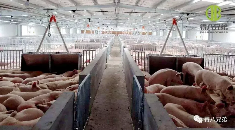 गर्मीमा तातो तनाव विरुद्ध प्रभावकारी काउन्टरमेजरहरू