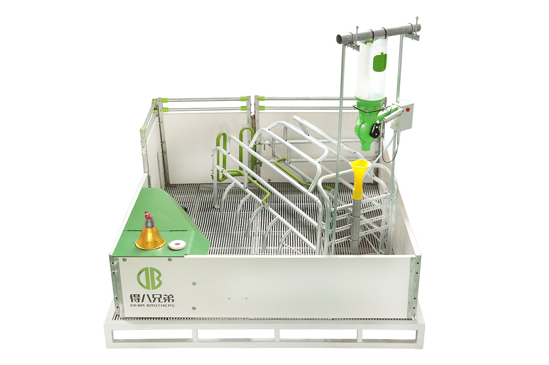 वेलसेफ फ्यारोइङ पेन लूज सोका लागि - पशु कल्याणमा फोकस गर्नुहोस्